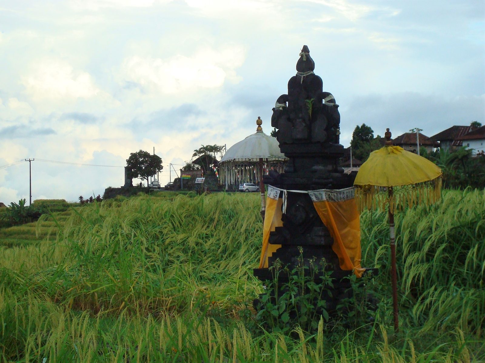 Rice Terrace & Volcano Tour