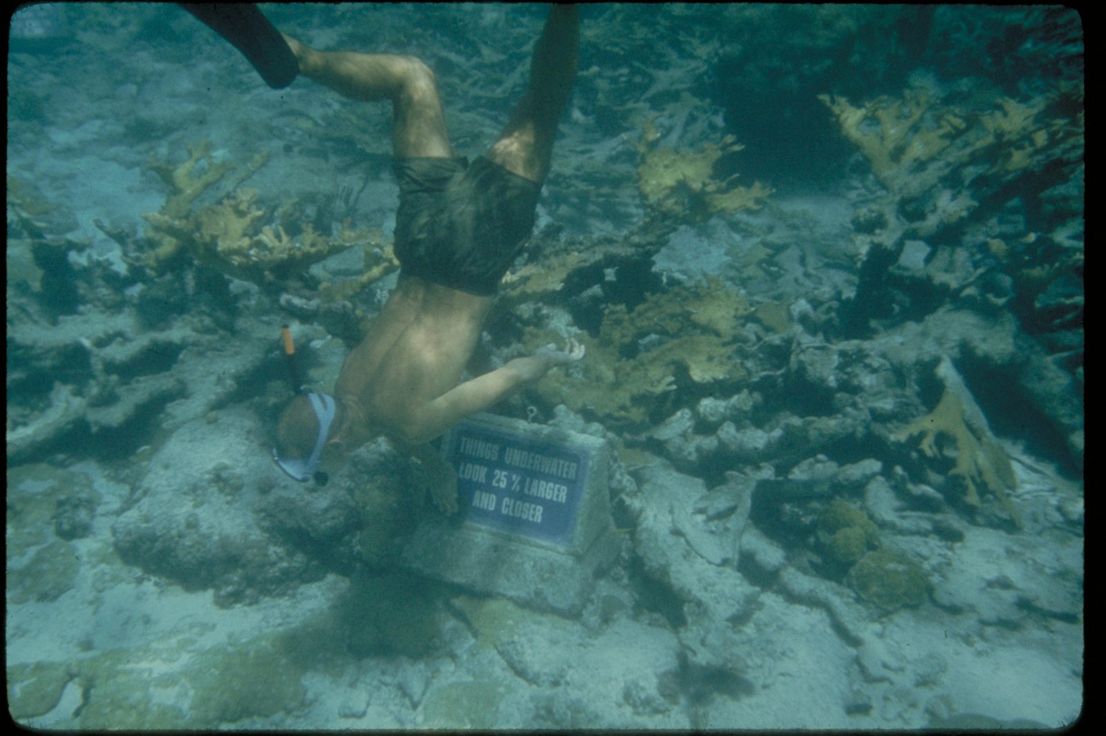 Snorkeling & Beach Tour