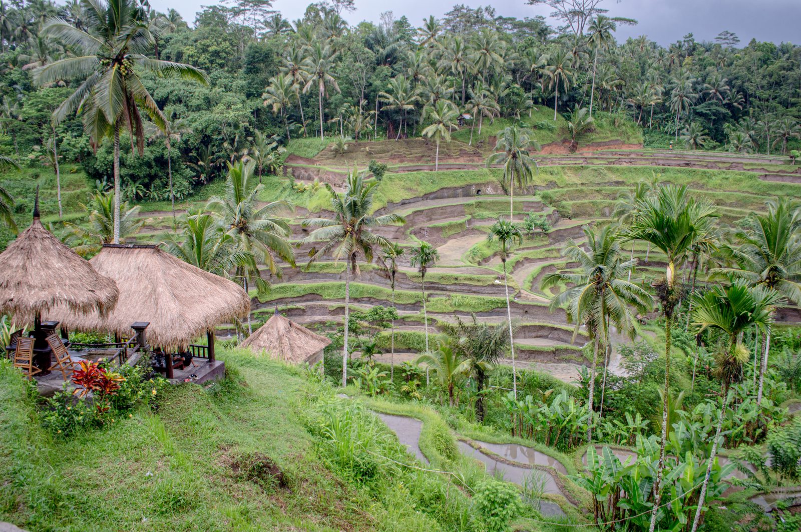 Kerobokan, Bali
